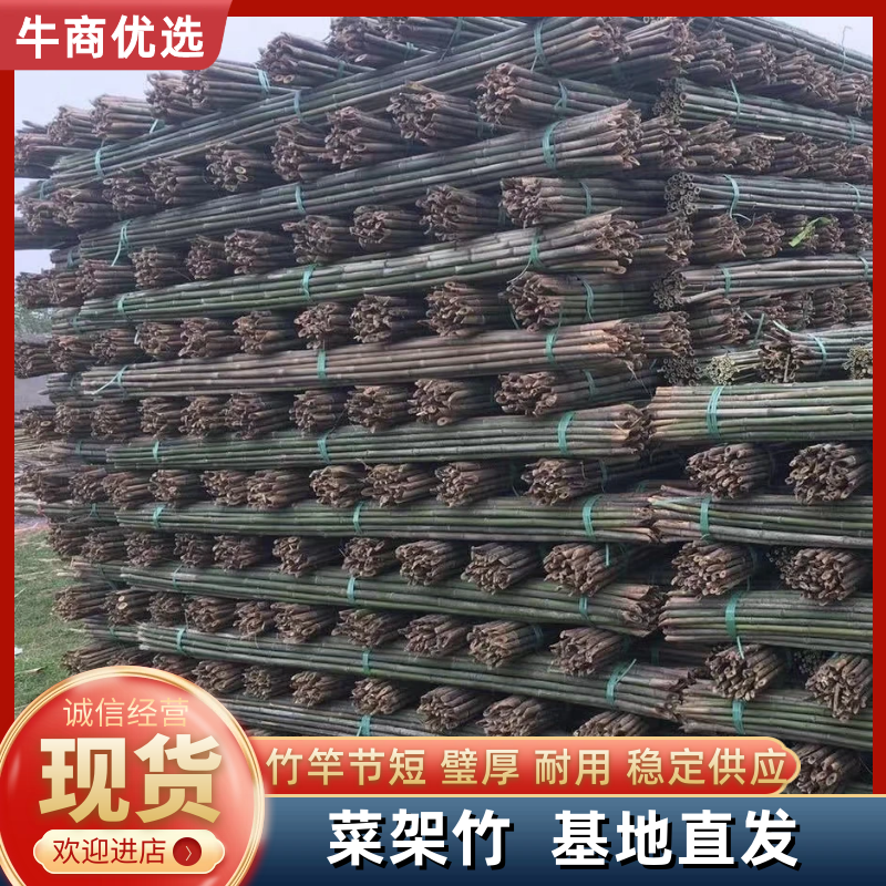 竹竿菜架竹豆角架黄瓜架西红柿架辣椒架