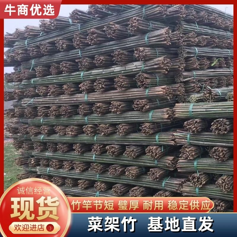 竹竿菜架竹豆角架黄瓜架西红柿架辣椒架