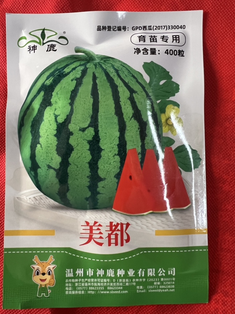 美都西瓜种子高纯度大红瓤拱棚露地均可耐裂