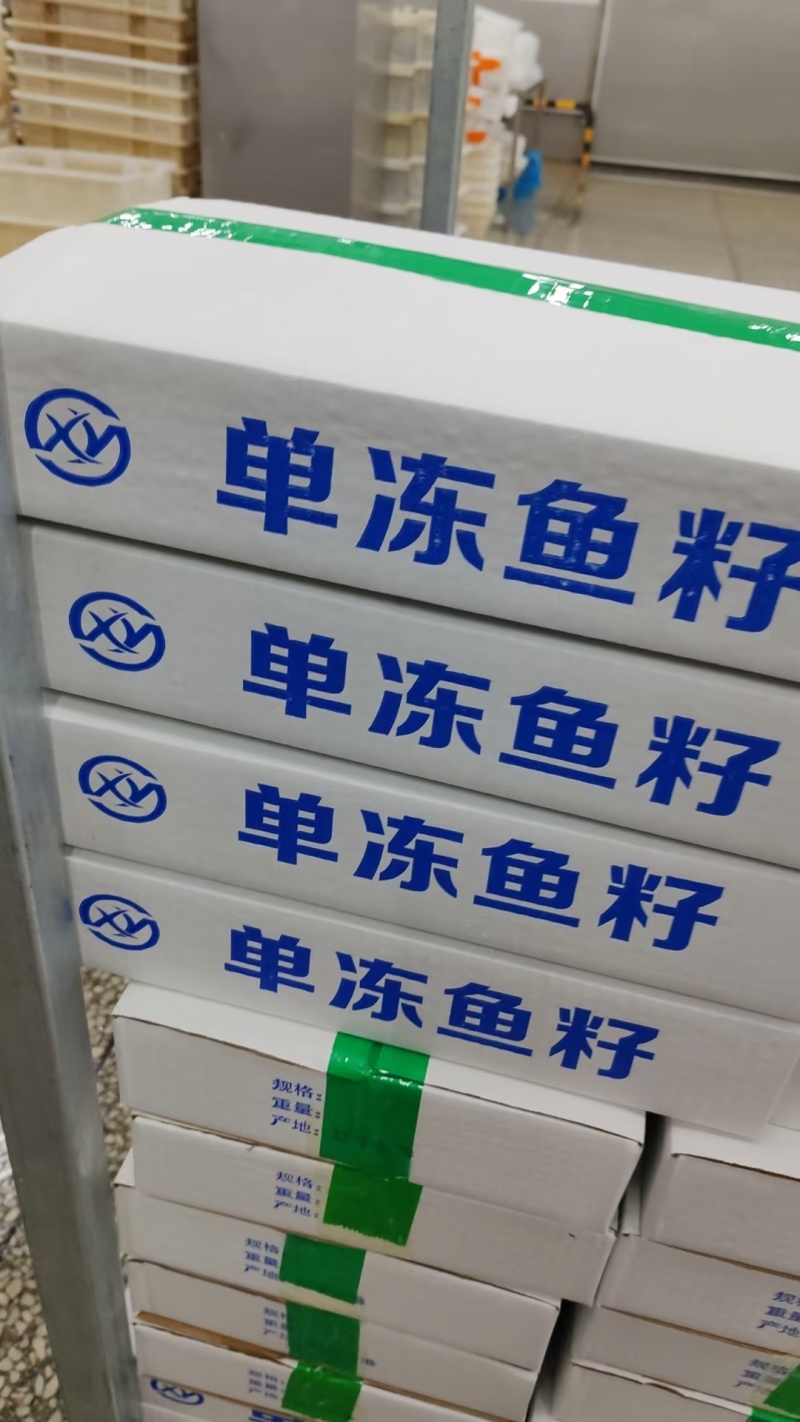 鱼籽，海鱼籽，嘎鱼籽，兔子鱼籽，电商鱼籽，平台**