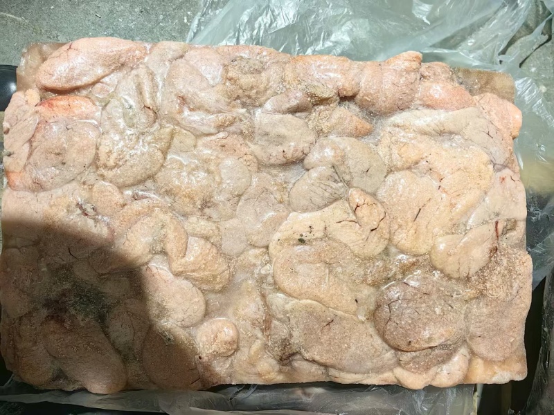 鱼籽，海鱼籽，嘎鱼籽，兔子鱼籽，电商鱼籽，平台**