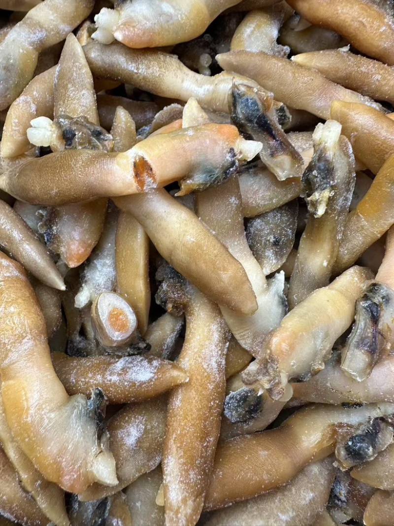 蛏王肉舌头竹蛏王肉海蛏子肉舌头竹节蛏子肉捞汁食材蛏王柱