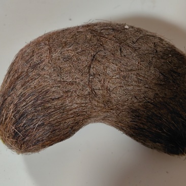 猪宝(约400g)