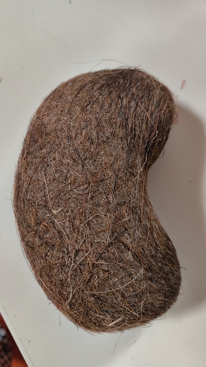 猪宝(约400g)