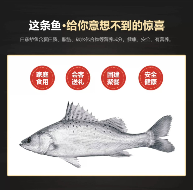 白蕉海鲈鱼新鲜海鲜水产生鲜冷冻真空独立装清蒸鲈鱼珠海特产