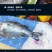 白蕉海鲈鱼新鲜海鲜水产生鲜冷冻真空独立装清蒸鲈鱼珠海特产
