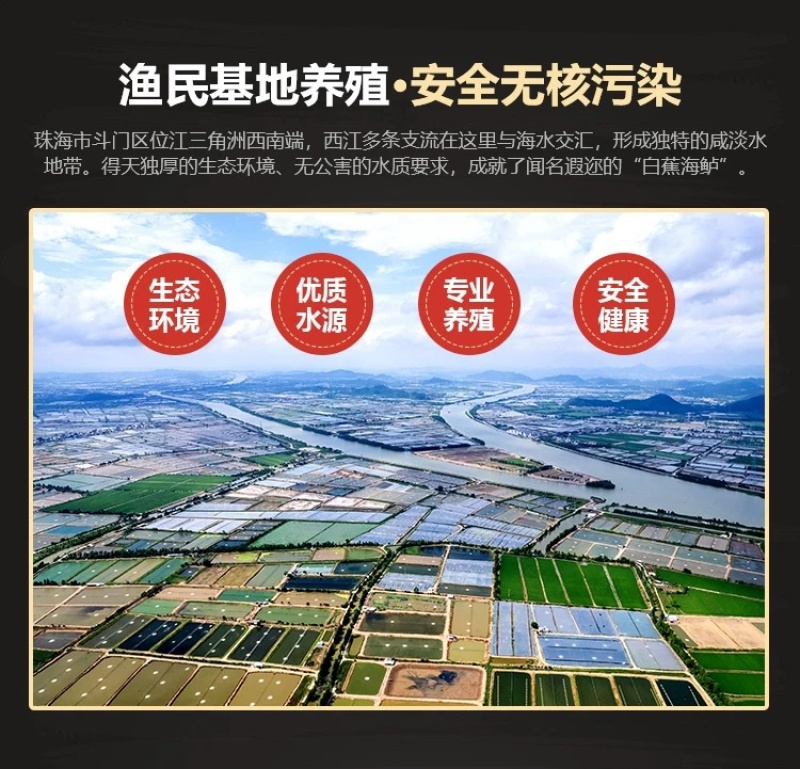 白蕉海鲈鱼新鲜海鲜水产生鲜冷冻真空独立装清蒸鲈鱼珠海特产
