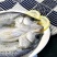 白蕉海鲈鱼新鲜海鲜水产生鲜冷冻真空独立装清蒸鲈鱼珠海特产