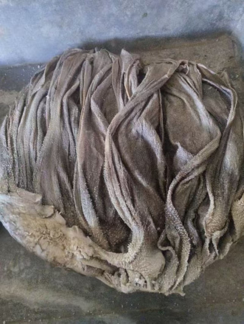 盐干牛百叶A
