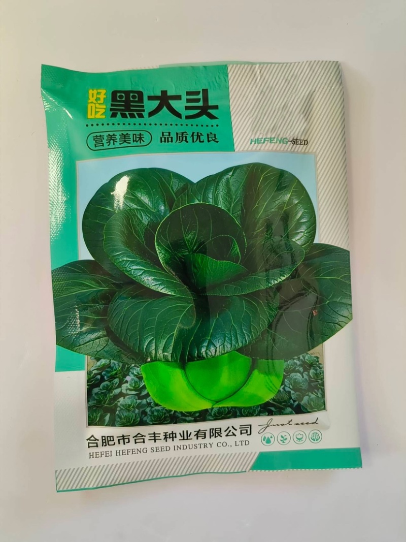 黑大头-黑叶青菜种子矮胖多肉抗病耐热耐寒微甜品质佳