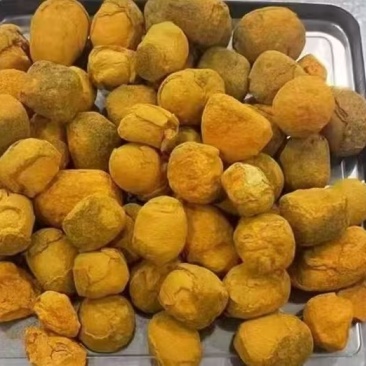 天然牛黄