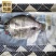 金目鲈鱼游龙斑盲曹鱼清蒸烤鱼纸包鱼开背尖吻鲈鱼金晶斑鱼