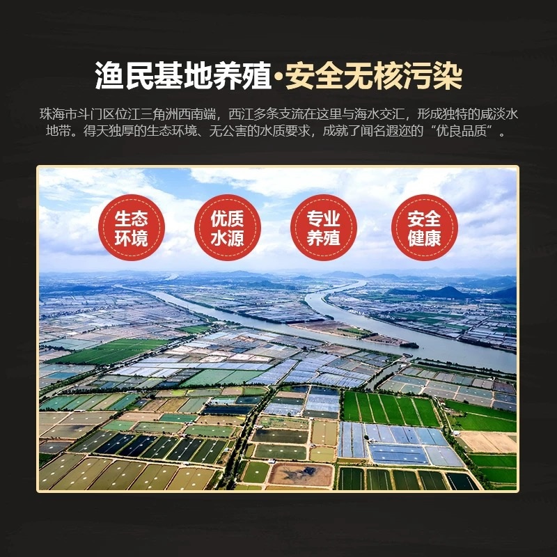 金目鲈鱼游龙斑盲曹鱼清蒸烤鱼纸包鱼开背尖吻鲈鱼金晶斑鱼