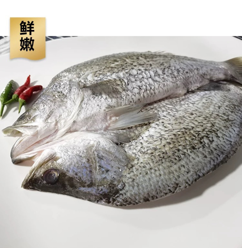金目鲈鱼游龙斑盲曹鱼清蒸烤鱼纸包鱼开背尖吻鲈鱼金晶斑鱼