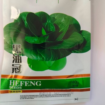 黑油冠-青菜种子黑大头肉厚耐寒