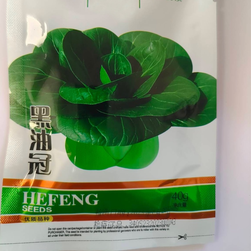 黑油冠-青菜种子黑大头肉厚耐寒