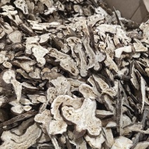 白术白术片各种规格批发零售优质