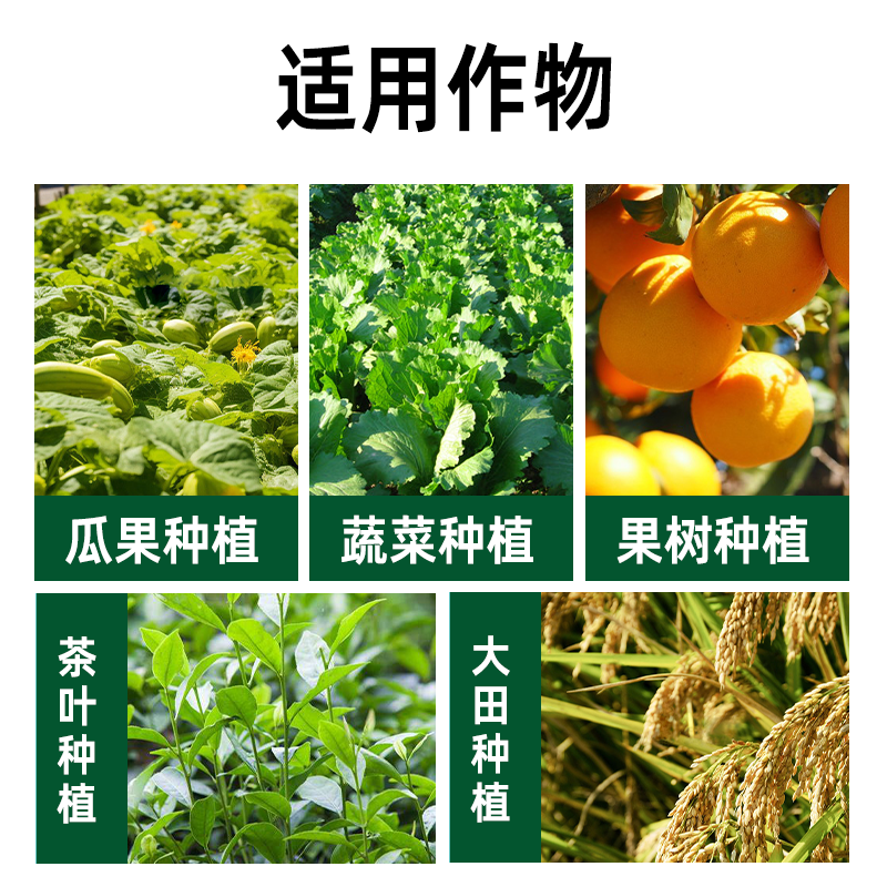 钙镁硼锌果树蔬菜农用中微量元素水溶肥补钙防裂果高钙叶面肥