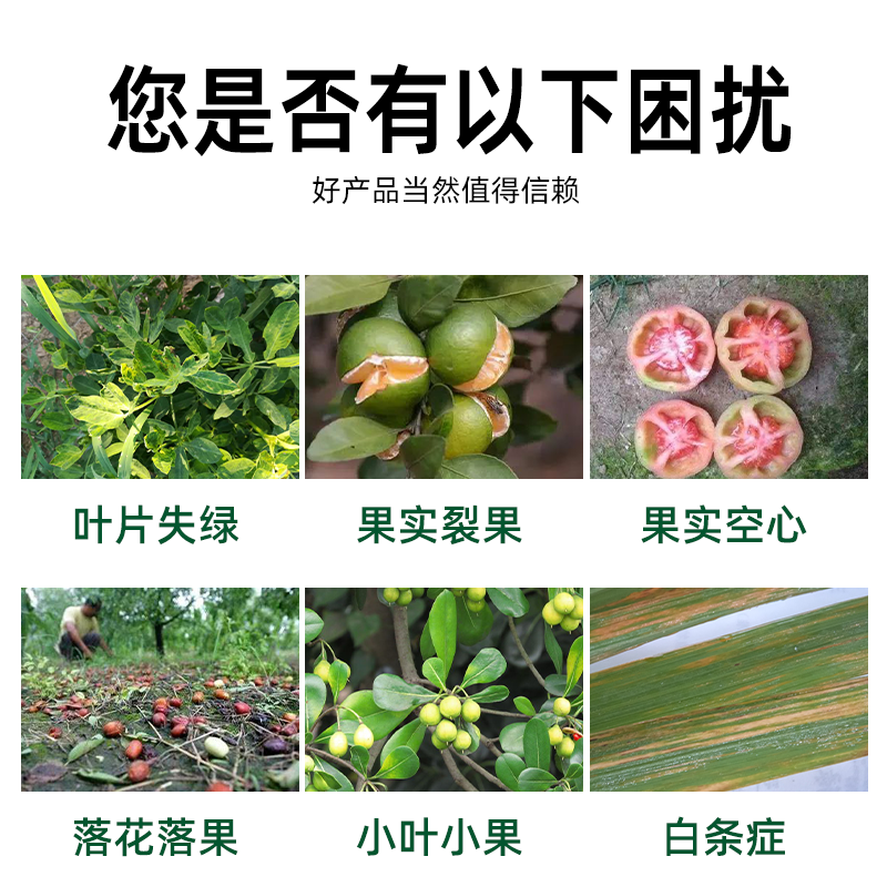 钙镁硼锌果树蔬菜农用中微量元素水溶肥补钙防裂果高钙叶面肥