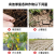 矿源黄腐酸钾全水溶肥料生根腐殖酸钾肥有机肥通用果树蔬菜肥