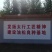 油松种子，油松籽，松子，松树苗，苗木种子