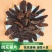 源自内蒙古阿拉善的肉苁蓉片俗称沙漠人参滋补隹品