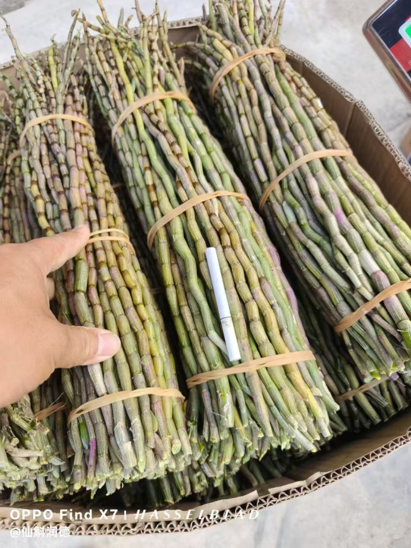 铁皮石斛产地直销一手货源价格便宜一箱60斤起批，量大从优