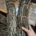 铁皮石斛产地直销一手货源价格便宜一箱60斤起批，量大从优