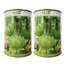 秀珍4号花皮小南瓜一串铃嫩瓜食用早熟四季种植