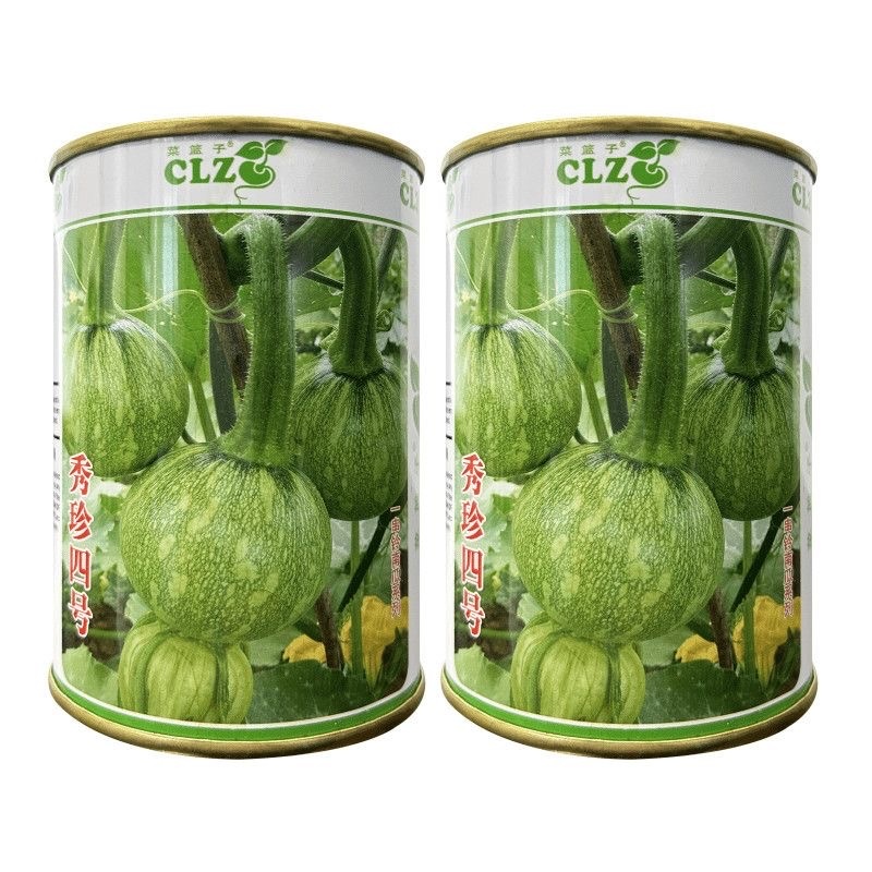 秀珍4号花皮小南瓜一串铃嫩瓜食用早熟四季种植