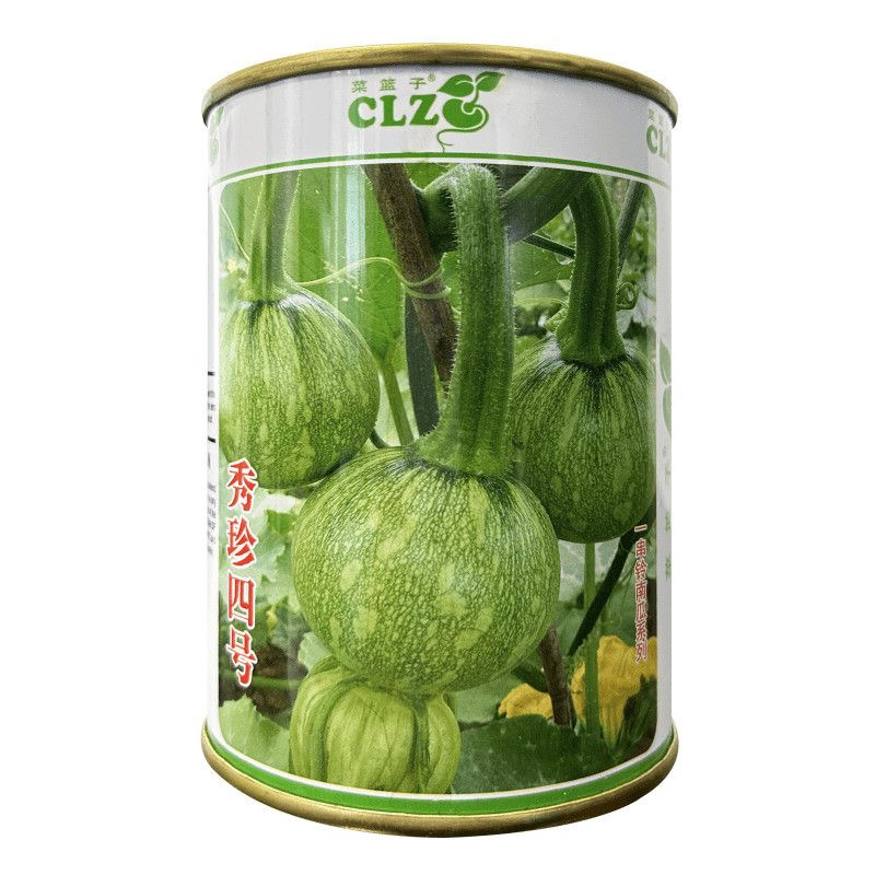 秀珍4号花皮小南瓜一串铃嫩瓜食用早熟四季种植