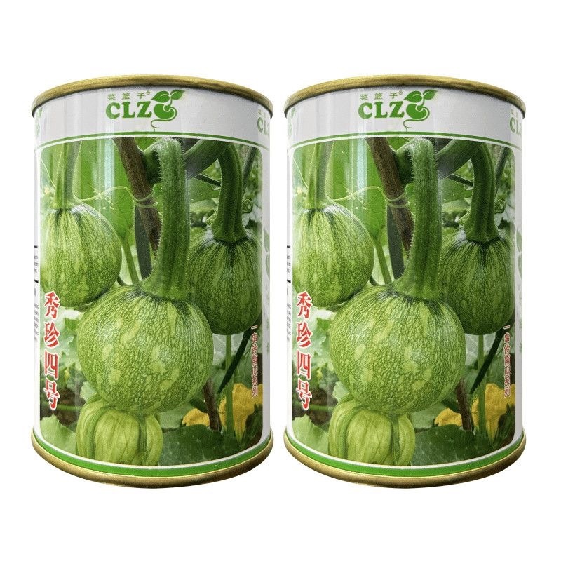 秀珍4号花皮小南瓜一串铃嫩瓜食用早熟四季种植