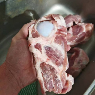 满肉棒骨