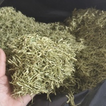 【金银花】正品金银花清香味浓山金银花干货带毛绒头茬
