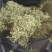 【金银花】正品金银花清香味浓山金银花干货带毛绒头茬