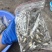 喂乌龟，喂鱼，观赏鱼饲料