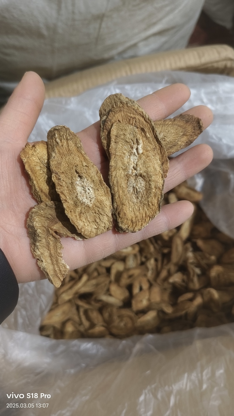 【牛蒡茶片】牛蒡根牛蒡茶片干净无杂质