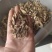 【牛蒡茶片】牛蒡根牛蒡茶片干净无杂质