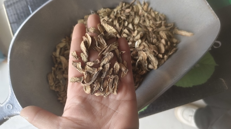 【牛蒡茶片】牛蒡根牛蒡茶片干净无杂质