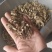 【牛蒡茶片】牛蒡根牛蒡茶片干净无杂质