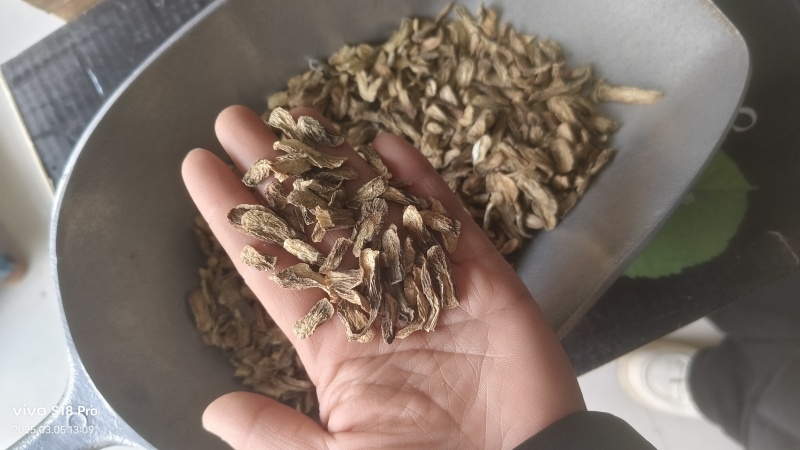 【牛蒡茶片】牛蒡根牛蒡茶片干净无杂质