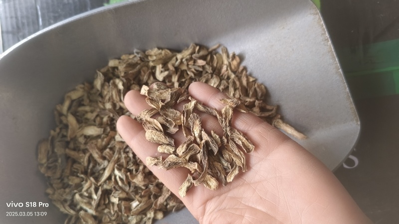 【牛蒡茶片】牛蒡根牛蒡茶片干净无杂质