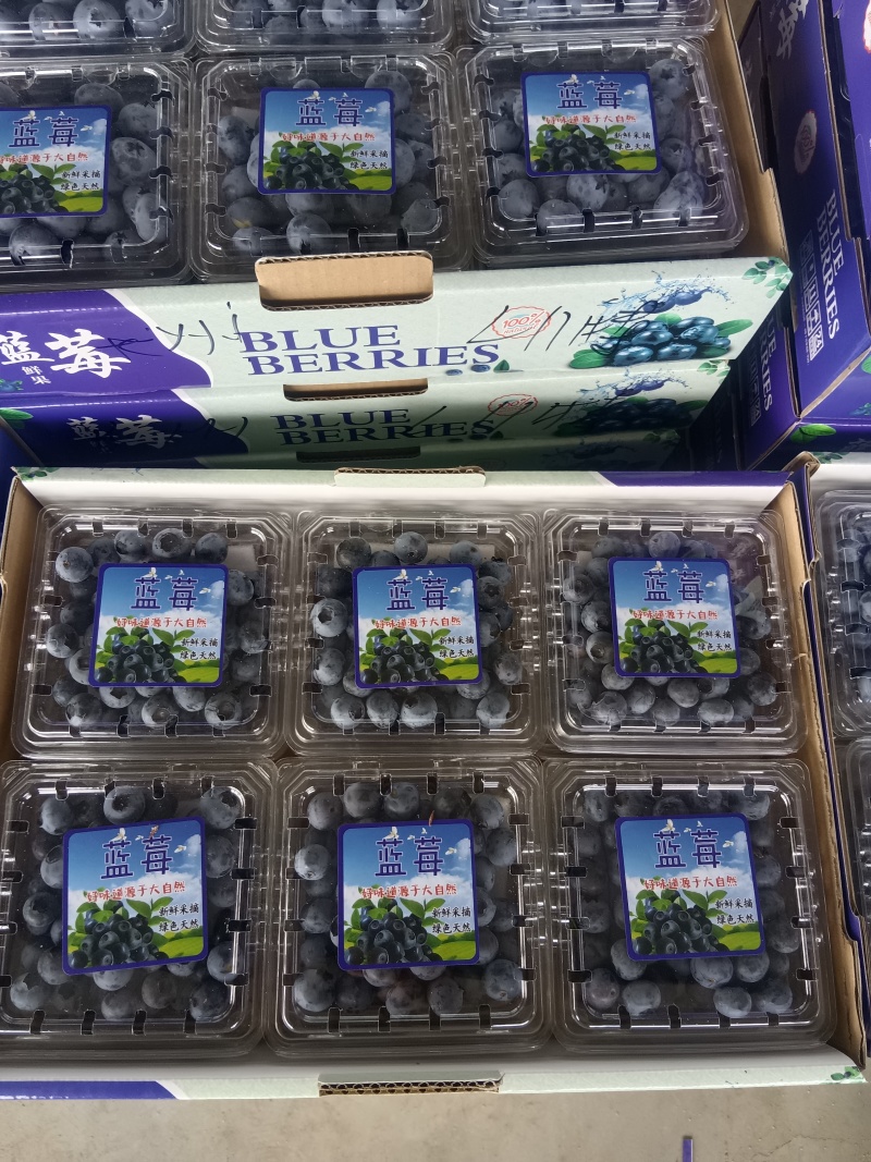 山东优质蓝莓，产地直发，品种齐全，一件代发，欢迎采购。