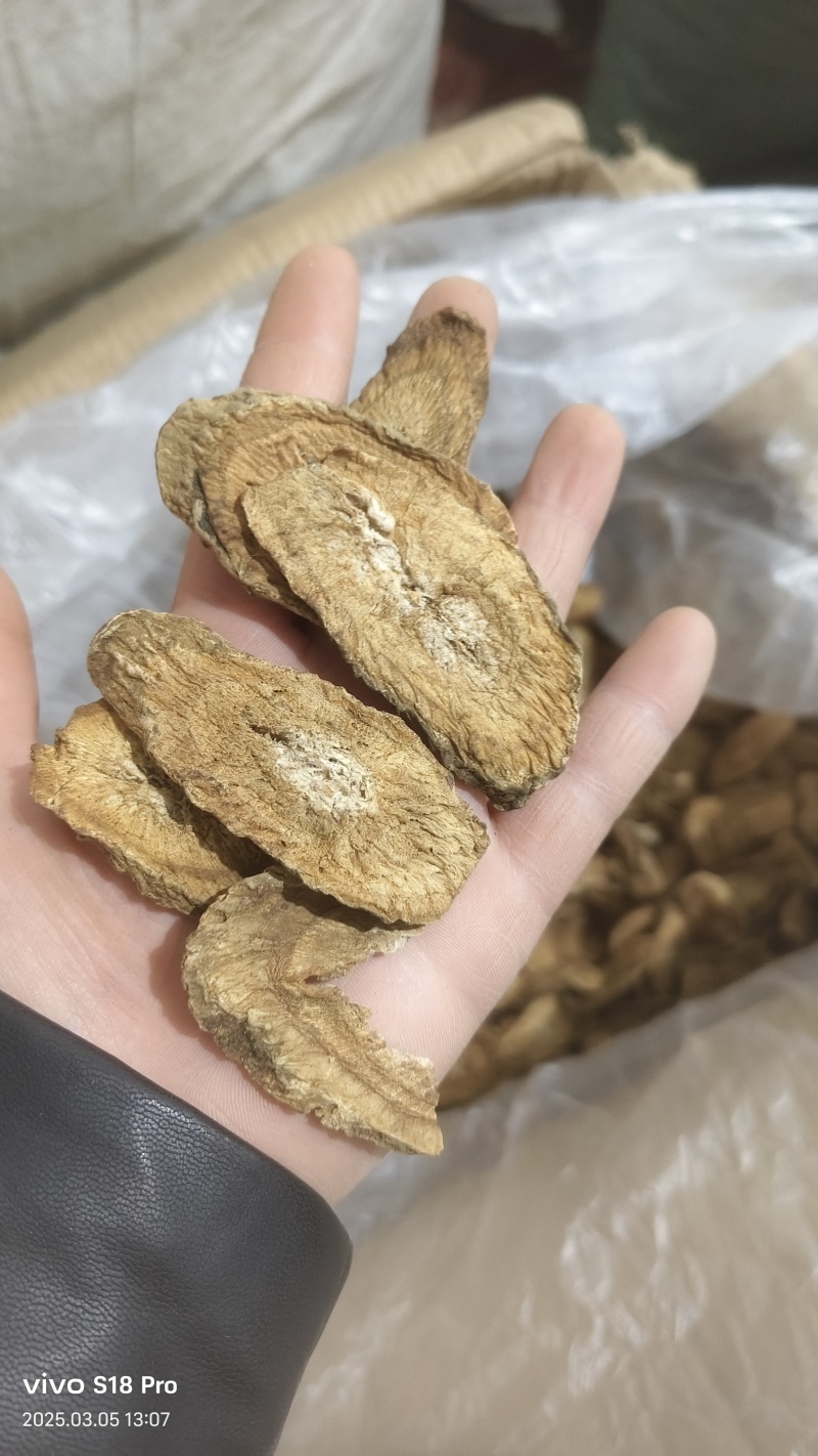 【牛蒡茶片】牛蒡根牛蒡茶片干净无杂质