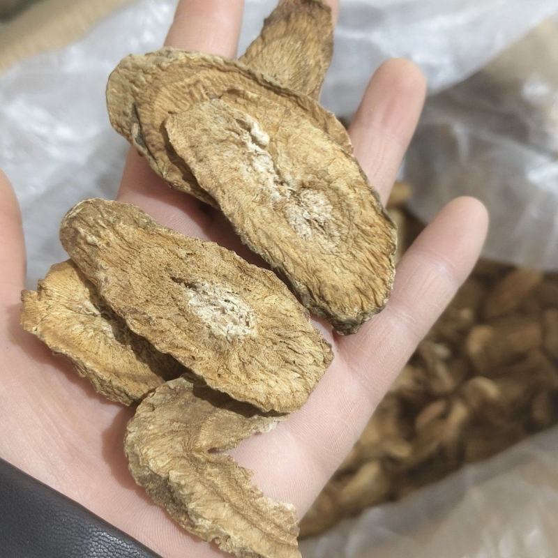 【牛蒡茶片】牛蒡根牛蒡茶片干净无杂质