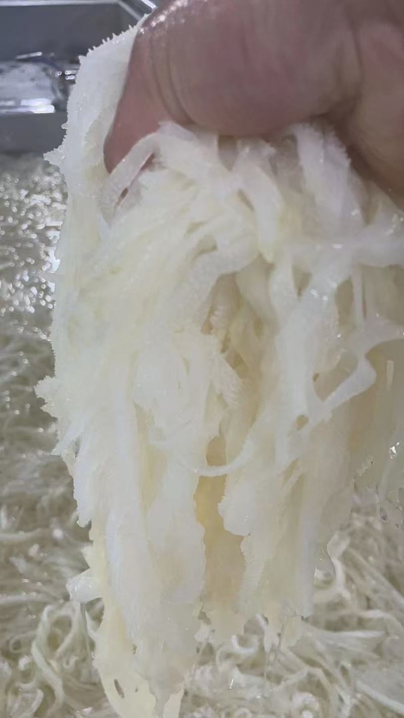 白千层肚/白毛肚/水洗毛肚/厂家直发/常年批发/量大从优