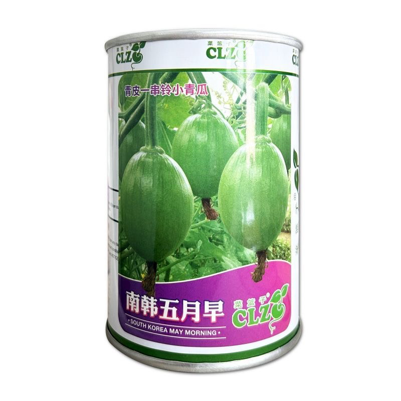 南韩五月早一串铃南瓜种子小青瓜早熟嫩瓜圆形脆嫩味甜
