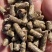 玉米下角料颗粒