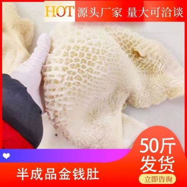 【半成品金钱肚】批发50斤三分熟半成品金钱肚