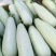 羊角酥0.5斤以上羊角蜜甜瓜大量现货上市精品甜瓜